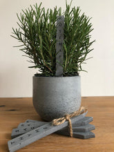 Load image into Gallery viewer, Really beautiful concrete herb labels that will decorate and organize your flowerpots. 
