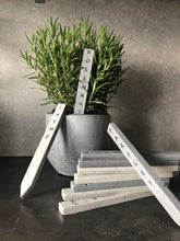Load image into Gallery viewer, Really beautiful concrete herb labels that will decorate and organize your flowerpots.

